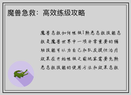 魔兽急救：高效练级攻略